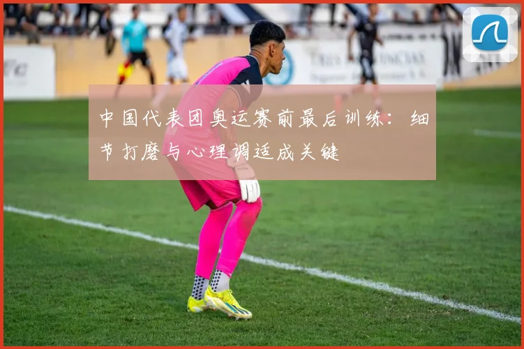 中国代表团奥运赛前最后训练：细节打磨与心理调适成关键